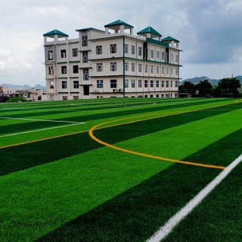 Lush Green Futsal Turf (Imported)