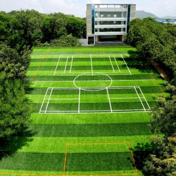 Imported Futsal Turf