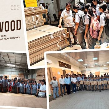Ply wood workshop visit